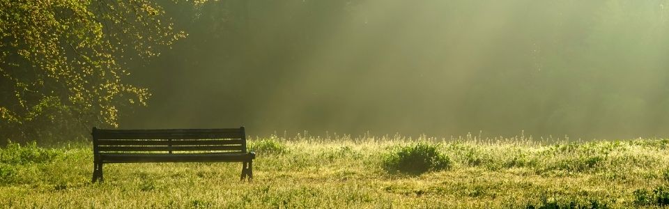 Park Bench in a Peaceful Field
