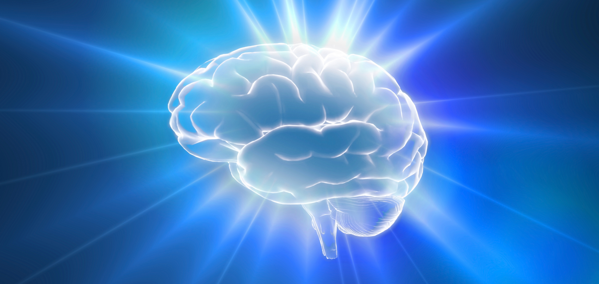 Image of healthy brain